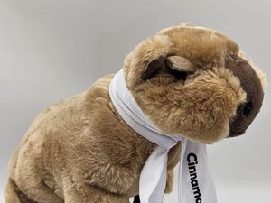 Supporting image for story: Telford zoo to release official Cinnamon merch after capybara's week-long adventure