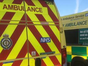 Supporting image for story: Car comes to rest in field near Oswestry