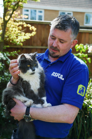 Kitten Berlioz suffered physical abuse at the hands of his former owner in the West Midlands resulting in multiple fractures to his skull and ribs. After fostering Berlioz and helping to rehabilitate the young kitten, animal rescuer Jonny and his family later adopted him and he is now a much-loved member of their family. Picture: Brett Harkness