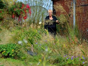 Supporting image for story: Rewilding gardener opens up her home to inspire people to embrace the natural world.