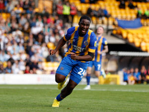 Supporting image for story: Christian Saydee reveals how Daniel Udoh's improved scoring statistics aided Shrewsbury Town move