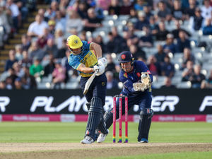 Supporting image for story: Big Vitality Blast Off for domestic Twenty20 show