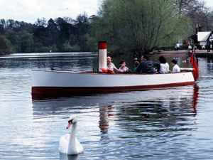 Supporting image for story: Merlin's magic days on The Mere
