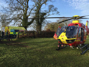 Supporting image for story: Shropshire farmer seriously injured by bull is 'doing well', says son