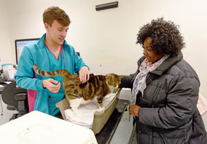 Vet Freddie Allan checks over cat Pempe, with owner Viv Weir