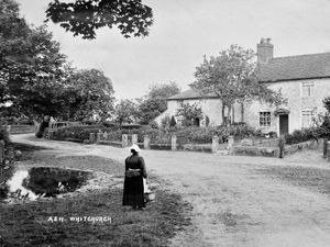 Supporting image for story: Idyllic scene little different from today