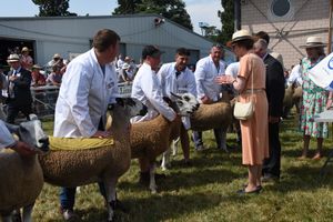 The Princess Royal at the Royal Welsh Show photo: Ruth Rees