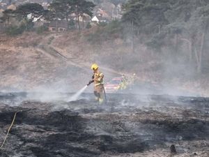 Around 80 firefighters responded to a fire on Upton Heath on Wednesday (Dorset and Wiltshire Fire and Rescue Service)