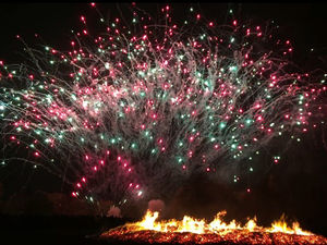 Supporting image for story: Doubts over future of fireworks displays in Sandwell