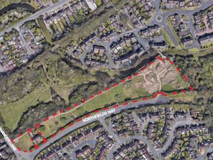 Supporting image for story: Walsall housing bid for 50 homes on green belt set to fail due to controversial ‘Cannock Chase tax’