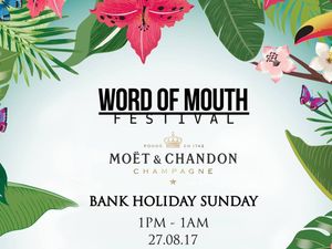 Supporting image for story: Word Of Mouth Festival heading to Perton Park Golf Club