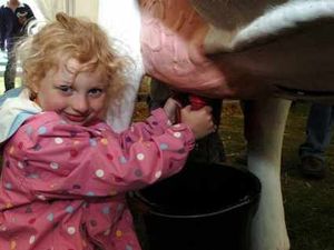 Supporting image for story: Thousands attend Shropshire County Show