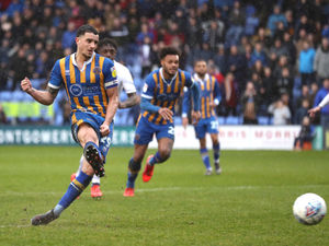 Supporting image for story: Ollie Norburn urging Shrewsbury Town faithful to back boss