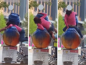 Supporting image for story: Final day for Let's Go Quackers as video shows clumsy duck climber