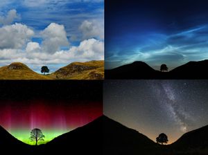 Supporting image for story: Artists invited to breathe life into Sycamore Gap tree