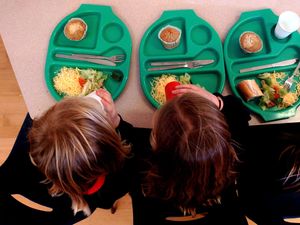 Supporting image for story: ‘Fussy eating’ disorder linked to differences in brain structure, study shows