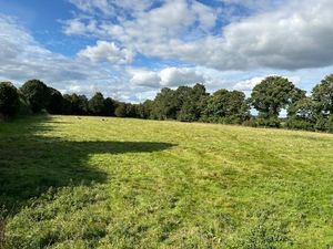 Supporting image for story: More than five acres of south Shropshire land next to the River Teme to be sold at auction