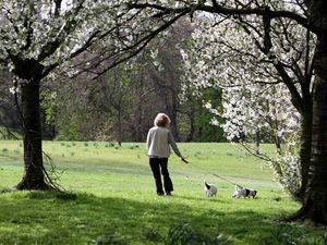 Supporting image for story: Appeal to dog owners as cattle disease spreads