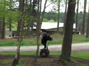 Supporting image for story: Video: Try a Segway Tour of Cannock Chase