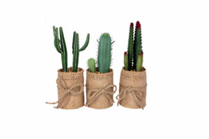 Artificial Decorative Succulent