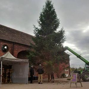 Supporting image for story