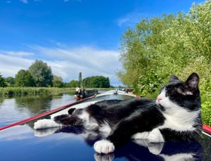 Hugo enjoying life on the canal.