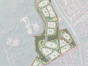 Supporting image for story: 'Penis-shaped' 250-home scheme in Telford passed
