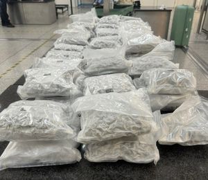 Almost 27 tonnes of cannabis was seized from smugglers flying into UK airports last year