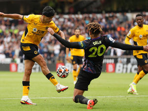 Supporting image for story: Wolves 0-1 Spurs – Report and pictures