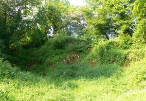 Comley Quarry is now a nature reserve