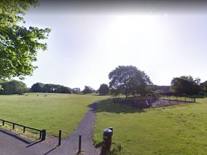 Supporting image for story: Solar-powered CCTV to be installed in Newport park