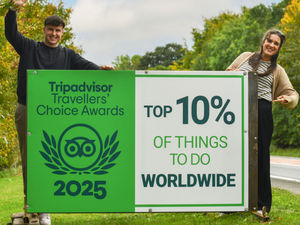 Supporting image for story: Oswestry visitor attraction secures major honour from Tripadvisor