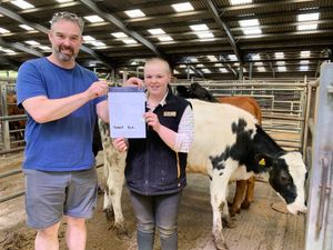 Supporting image for story: Moo-ving moments as cow sale unexpectedly sees £7,000 raised for cancer charity