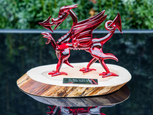 Supporting image for story: Twenty-two exceptional finalists shortlisted for Mid Wales Tourism Awards