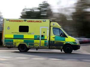 Supporting image for story: Girl, seven, killed after tree collapses in Essex park