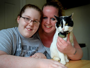 Supporting image for story: Beloved cat Porky back with Brownhills family
