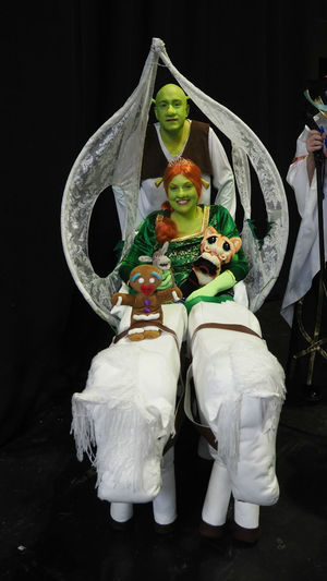 MCM Comic Con. Pictures by: Darren Price