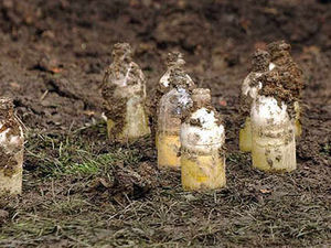 Supporting image for story: Man discovers wartime grenades