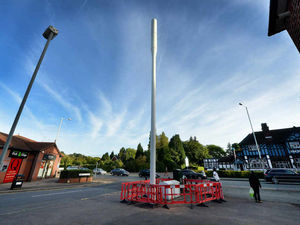 Supporting image for story: Pictures: 50ft phone mast shock for Wolverhampton residents
