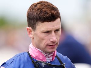 Supporting image for story: Jockey charged with drink driving after car crashes into tree