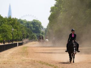 Supporting image for story: Last month hottest June on record in England, Met Office figures suggest