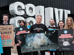 Supporting image for story: Co-op prioritises corporate greed over animal welfare, says Chris Packham