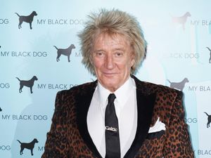 Supporting image for story: Sir Rod Stewart cancels Australian performance due to viral infection