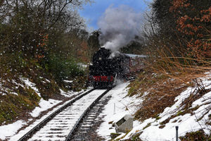 Supporting image for story