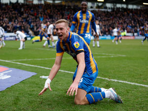 Supporting image for story: Killian Phillips is living the Shrewsbury dream 