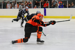 Telford Tigers (Picture: Edward Bowen / ebphotography)