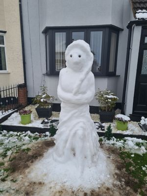 Queen Elsa makes an appearance in Wednesfield