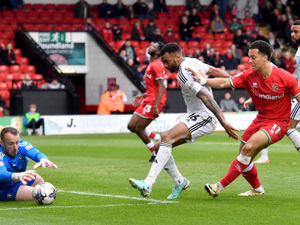 Supporting image for story: Walsall boss Mat Sadler gives verdict on progress of loan striker