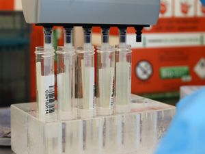 Supporting image for story: Another four Covid deaths confirmed in Shropshire