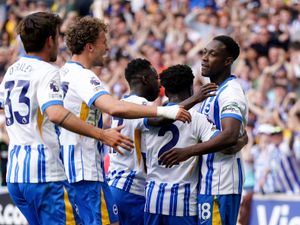Danny Welbeck celebrates with his Brighton team-mates